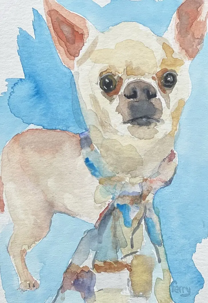 Chihuahua, aquarel van Ferry Breugem