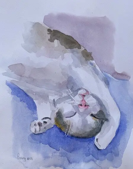 Chihuahua, aquarel van Ferry Breugem