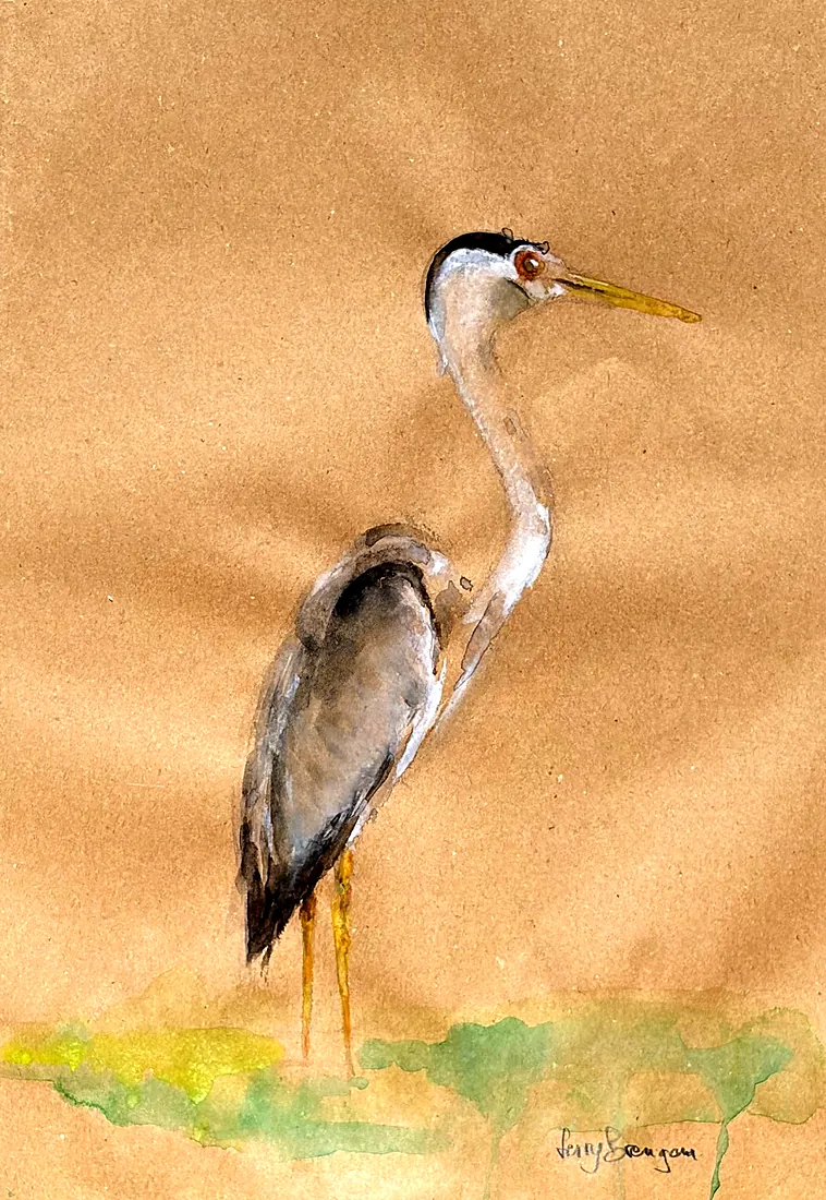 Reiger, aquarel van Ferry Breugem